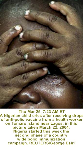 wpe3D.jpg (30966 bytes)